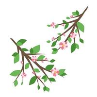 Branch with foliage and pink flowers isolated on white background. Vector decor elements