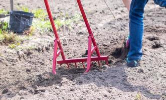 A farmer in jeans digs the ground with a red fork-shaped shovel. A miracle shovel, a handy tool. Manual cultivator. The cultivator is an efficient hand tool for tillage. Loosening the bed. photo