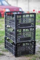 Plastic empty black boxes stacked together for plants or harvest. On a sunny day in early spring. Gardening concept. Household crop collection and storage boxes standing in the backyard. photo