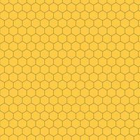 Seamless honeycomb pattern, honey texture background template. Vector. vector