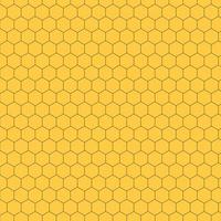 Seamless honeycomb pattern, honey texture background template. Vector. vector