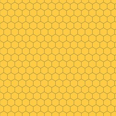 Seamless honeycomb pattern, honey texture background template. Vector.