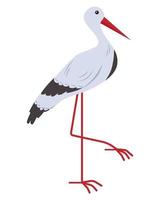 Stork bird. Vector illustration.