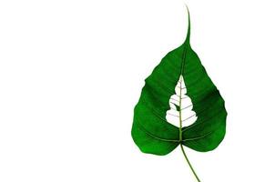 Green color Bodhi leaf cutting as Buddha statue on the leaf. photo