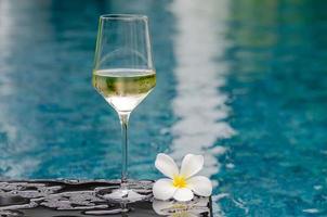 A glass of white wine with frangipani flower put on swimming pool. Holiday and summer drink concept. photo