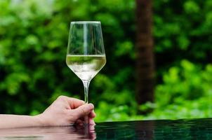 Hand holding a glass of white wine put on swimming pool with green garden background. Holiday and summer drink concept.