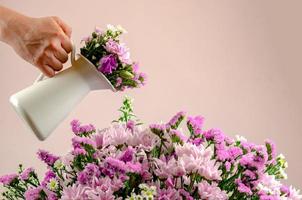 Flora concept photo that hand holding a white pot with flowers watering the bouquet of colorful flowers with pastel pink background.