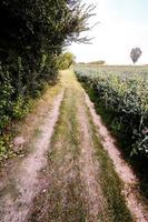 Countryside Dirty Road photo