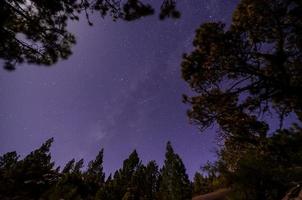 estrellas en el cielo por la noche foto