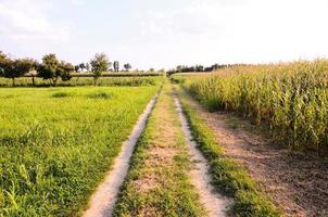 camino de ripio del campo foto