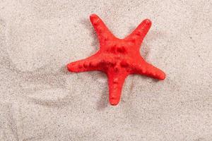 red starfish on the sand close-up top view. Starfish on the beach. Beach summer background with sand, sea and copyspace photo