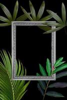 Green leaves pattern with white frame for nature concept,tropical leaf tree textured background photo