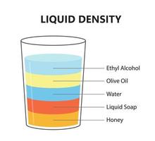 concepto de experimento científico de densidad líquida. capas fluidas separadas. experimento de laboratorio con densidad de aceite, agua, miel, jabón y alcohol. diferentes tipos de líquido en vidrio. ilustración vectorial vector