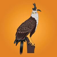 ilustración de dibujos animados de retrato de pájaro águila vector