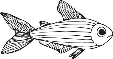 Doodle fish on white backgound vector