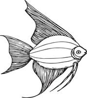 Doodle fish on white backgound vector