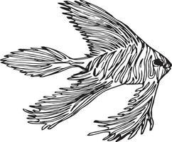 Doodle fish on white backgound vector