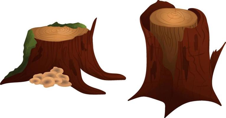 Brown stumps with mushrooms and moss