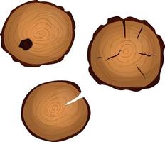 Set with three wood slabs vector