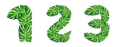 patrón de hojas verdes, alfabeto fuente 123 de hoja monstera aislado sobre fondo blanco foto