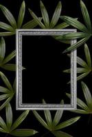 Green leaves pattern with white frame for nature concept,tropical leaf tree textured background photo