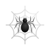 Black spider in web vector illustration isolated on white background. Suitable for t-shirt design or other design project.