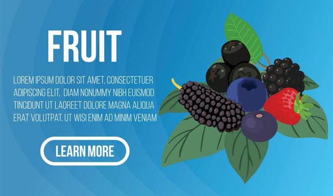 Fruit concept banner, isometric style