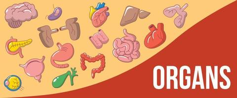 banner de concepto de órganos, estilo de dibujos animados vector