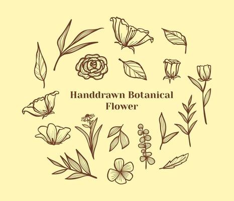Set of hand drawn botanical flower, leaf and branches doodle. Vintage botanical floral illustration.
