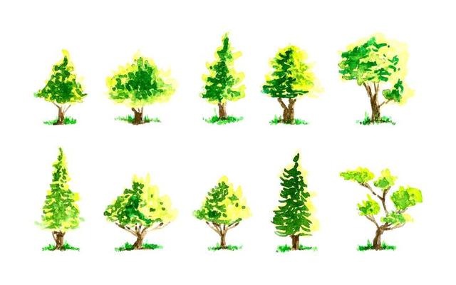 Set of watercolor summer trees illustration. Forest watercolor illustration.