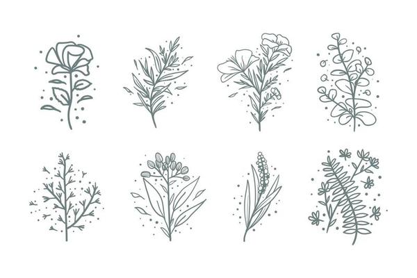 Collection of hand drawn botanical flower composition. Tropical floral doodle branches.