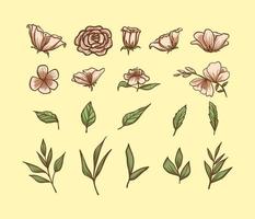 conjunto de garabatos botánicos de flores, hojas y ramas dibujados a mano. ilustración floral botánica vintage. vector