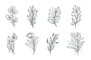 Collection of hand drawn botanical flower composition. Tropical floral doodle branches. vector