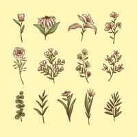 conjunto de garabatos botánicos de flores, hojas y ramas dibujados a mano. ilustración floral botánica vintage. vector