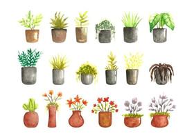 Set of watercolor tropical plant in pot. Botanical watercolor illustration. vector