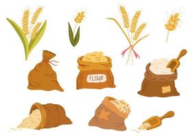 Bags flour and wheat ears set. Wheat, rye, rye ear, symbol of farming, bread, harvest. Whole stems, an organic vegetarian element of food packaging. Vector flat illustration.