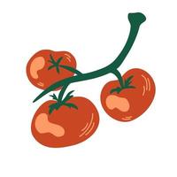 Tomatoes on a branch. Red cherry tomato composition. Healthy foods. Vegetables. Vector cartoon illustration. Isolate on a white background.