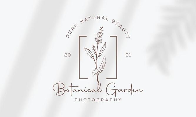 Botanical Floral element Hand Drawn Logo with Wild Flower and Leaves. Logo for spa and beauty salon, boutique, organic shop, wedding, floral designer, interior, photography, cosmetic.