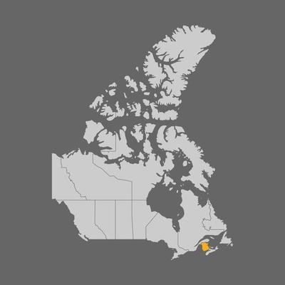 New Brunswick province highlighted on the map of Canada