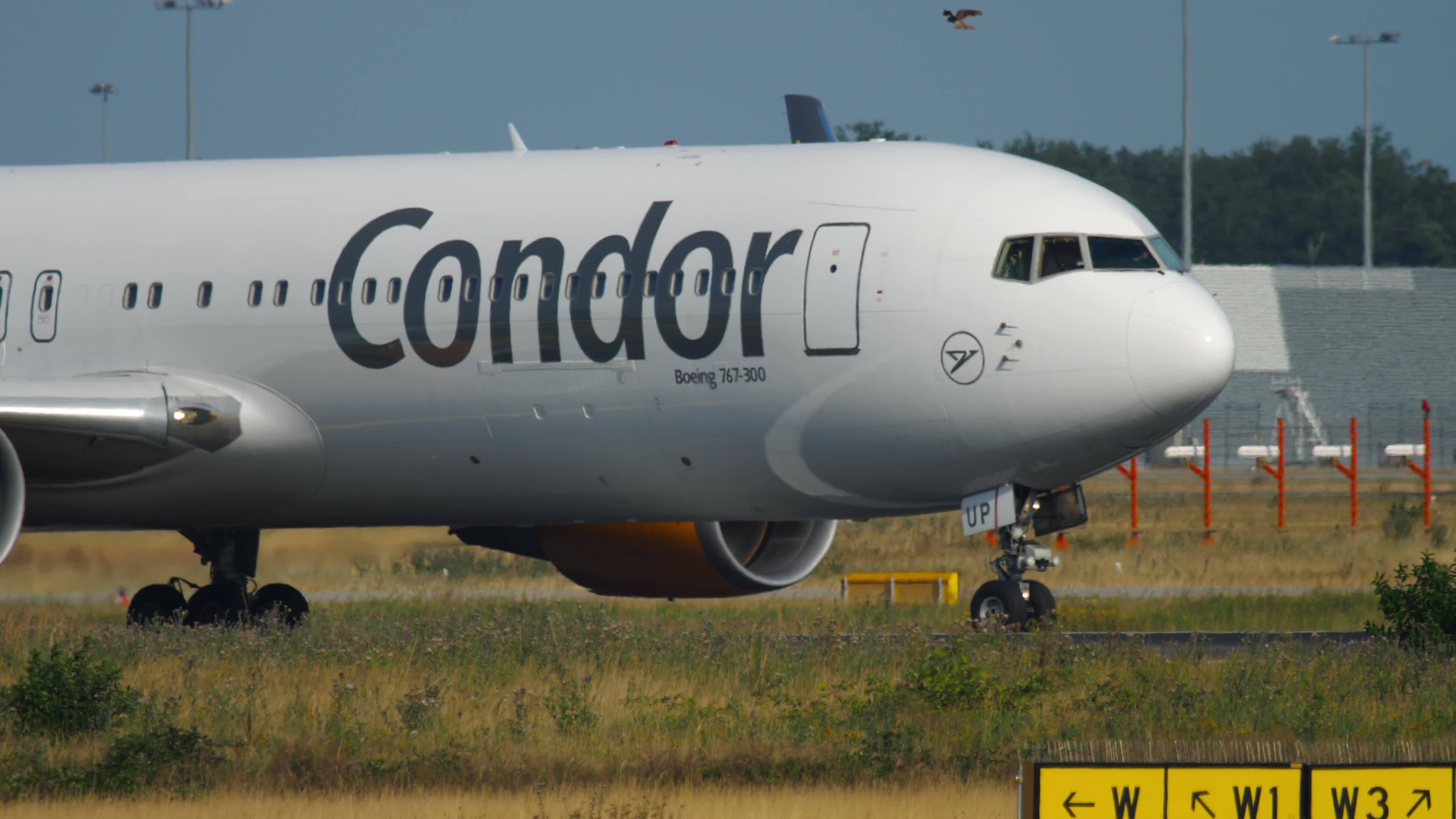 Condor Airlines Boeing 767 rollt zum Abflug 8299728 StockVideo bei