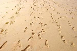 Many footprints on sandy beach background. photo