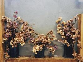 A withered flower that has been left for so long. photo
