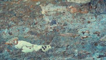 Bark from brown trees, rough surfaces, aging trunks. For making backgrounds or design designs. photo