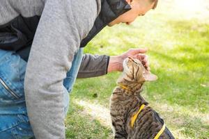 paseando a un gato doméstico con el dueño en un arnés amarillo. el gato atigrado que acaricia la mano de una persona al aire libre, se esconde en la hierba verde, con cautela y curiosidad. enseñando a tu mascota a caminar foto