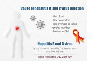 Human body with hepatitis virus in liver and lettering case of hepatitis infection with slogan and the days, name of event campaign on white background. All in vector design.