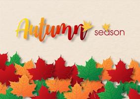 Colorful and heap of maple leaves with wording of season, All on paper textured and cream color background in vector design.