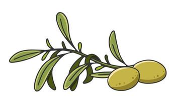 Olive branch with leaves and olives. Olive oil label or logo for a farmer shop or market. Retro emblem of organic olive oil vector illustration isolated on white background.