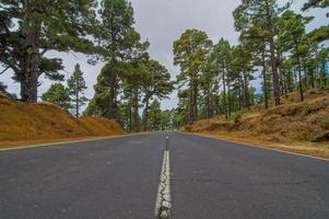 Long Lonely Road photo