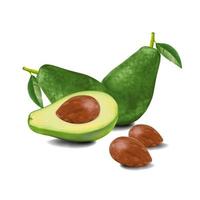 avocado full and half with avocado seed vector
