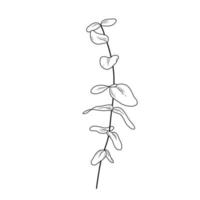 Eucaliptus branch line art drawing. Vector illustration with leaves isolated on white background. Botanical plant